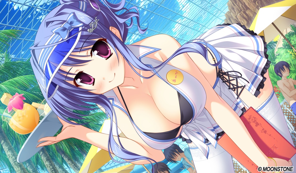 Twister reccomend princess evangile happiness ayaka route